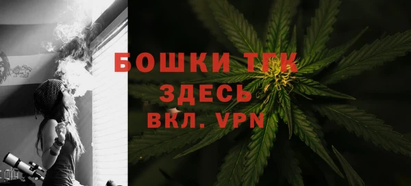 мдпв Нея