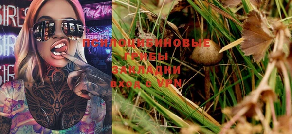 мдпв Нея