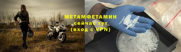 крисы Новозыбков