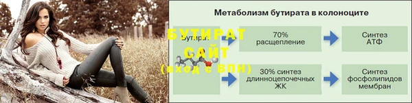 индика Володарск