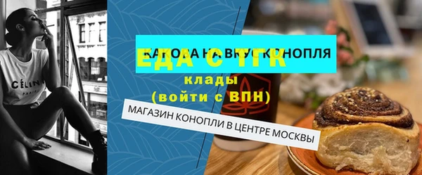 индика Володарск